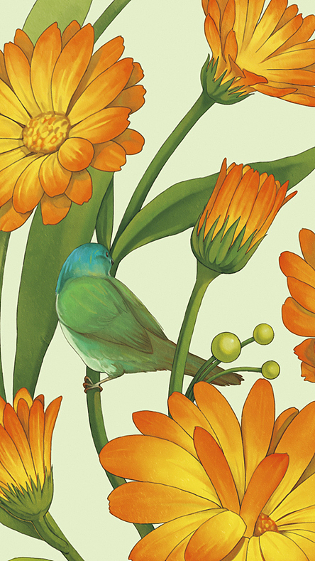 花鸟系列（图ZMjQ1NzQ5MTY=） - 商业插画 - 站酷设计师蔡一昕原创素材 - 站酷ZCOOL