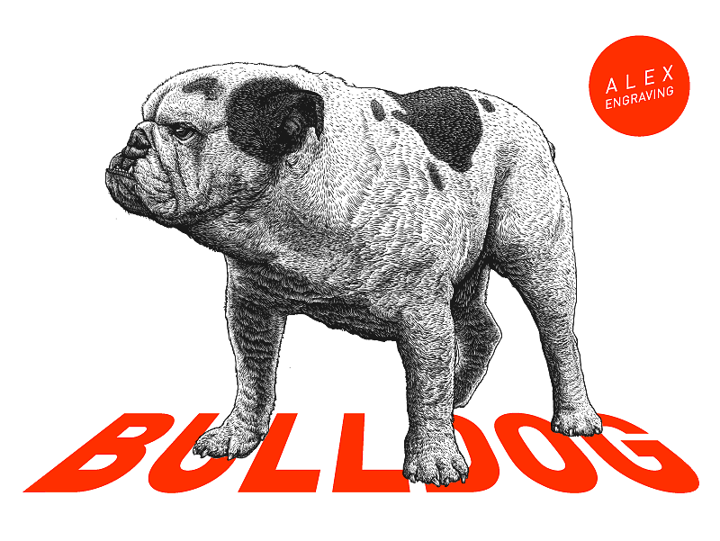 版画-斗牛（图ZMTExMDc3Njk2） - 商业插画 - 站酷设计师花椒的Alex原创素材 - 站酷ZCOOL