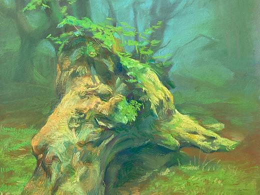 近期习作，比较杂