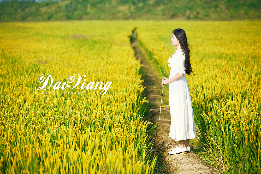 稻香（图ZMzU0NjExNzY=） - 人像摄影 - 站酷设计师xjtomb原创素材 - 站酷ZCOOL