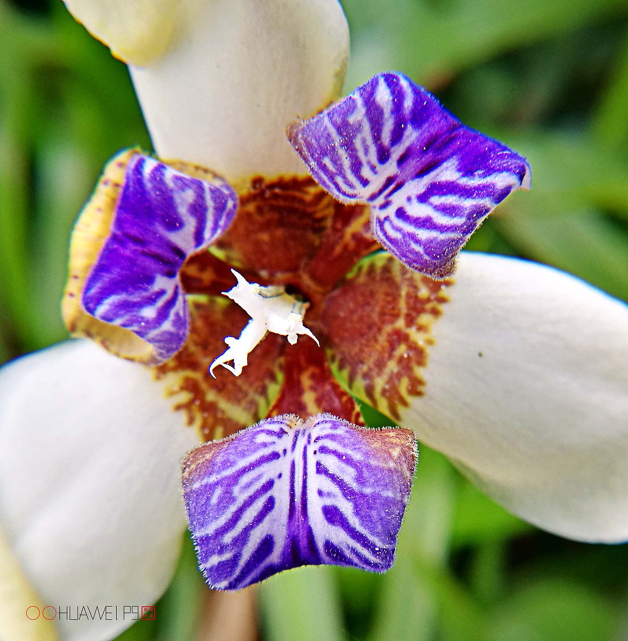 爱摄影爱生活【华为P9拍皂大体验】四月集（图ZNzY3OTk3NjA=） - 人文/纪实摄影 - 站酷设计师醉墨吴周原创素材 - 站酷ZCOOL