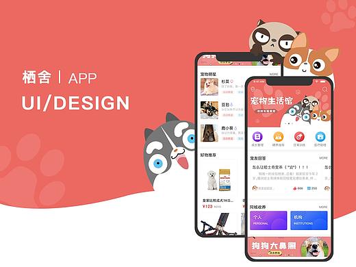 宠物APP