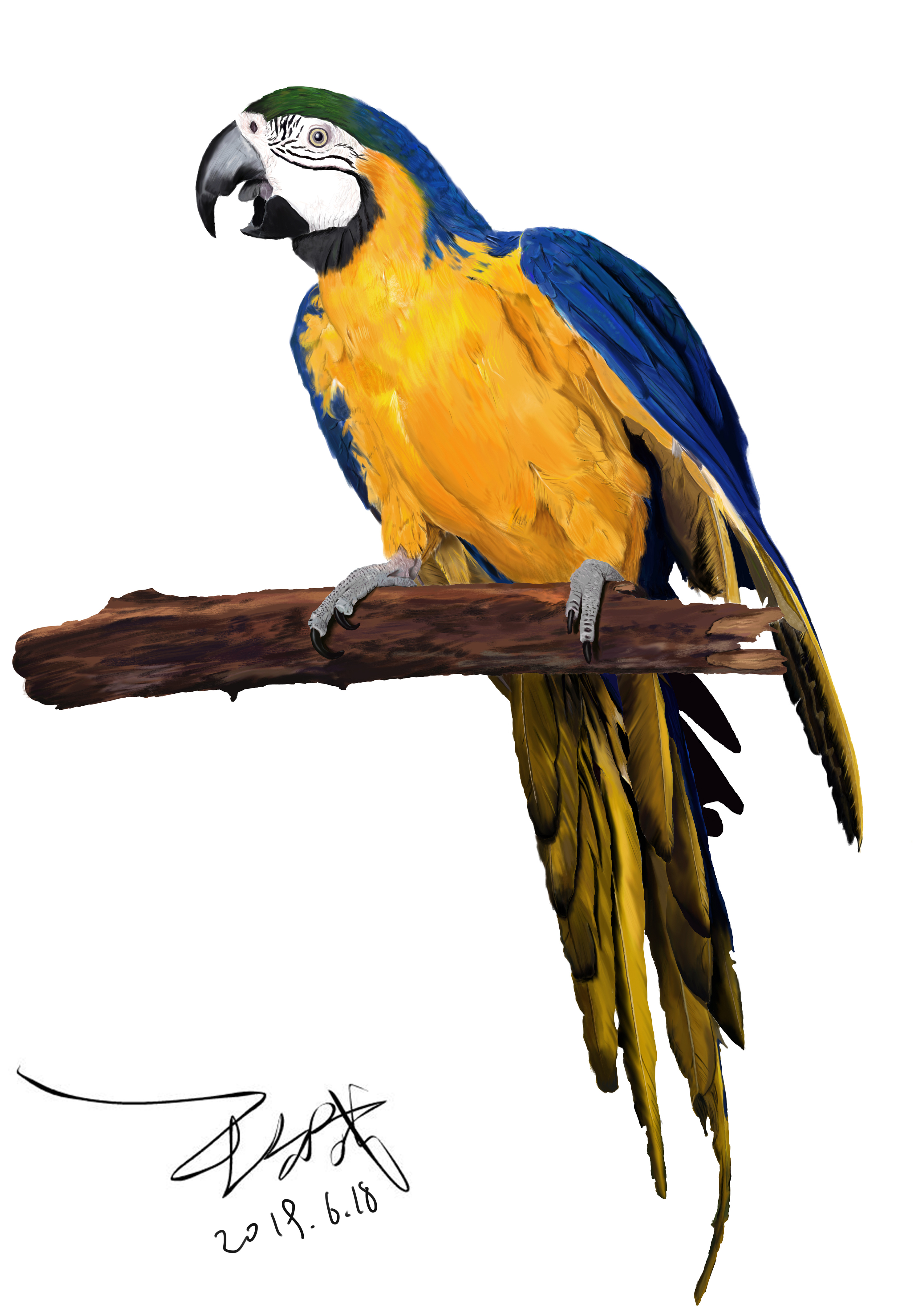 0|插画|插画习作|贝多芬的顺风耳 - 原创作品 - 站酷 (zcool)