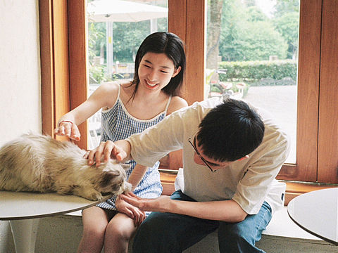 好天气和猫咪和咖啡☕️🐈☀️