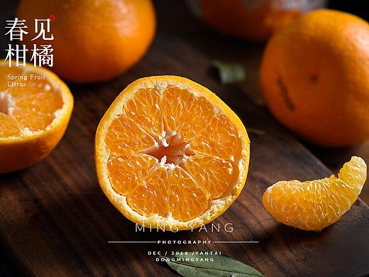 柑橘水果拍摄