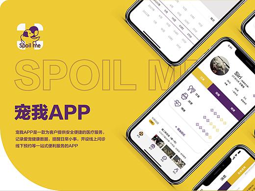 《网络形象设计》课程展:宠我——宠物医疗APP设计