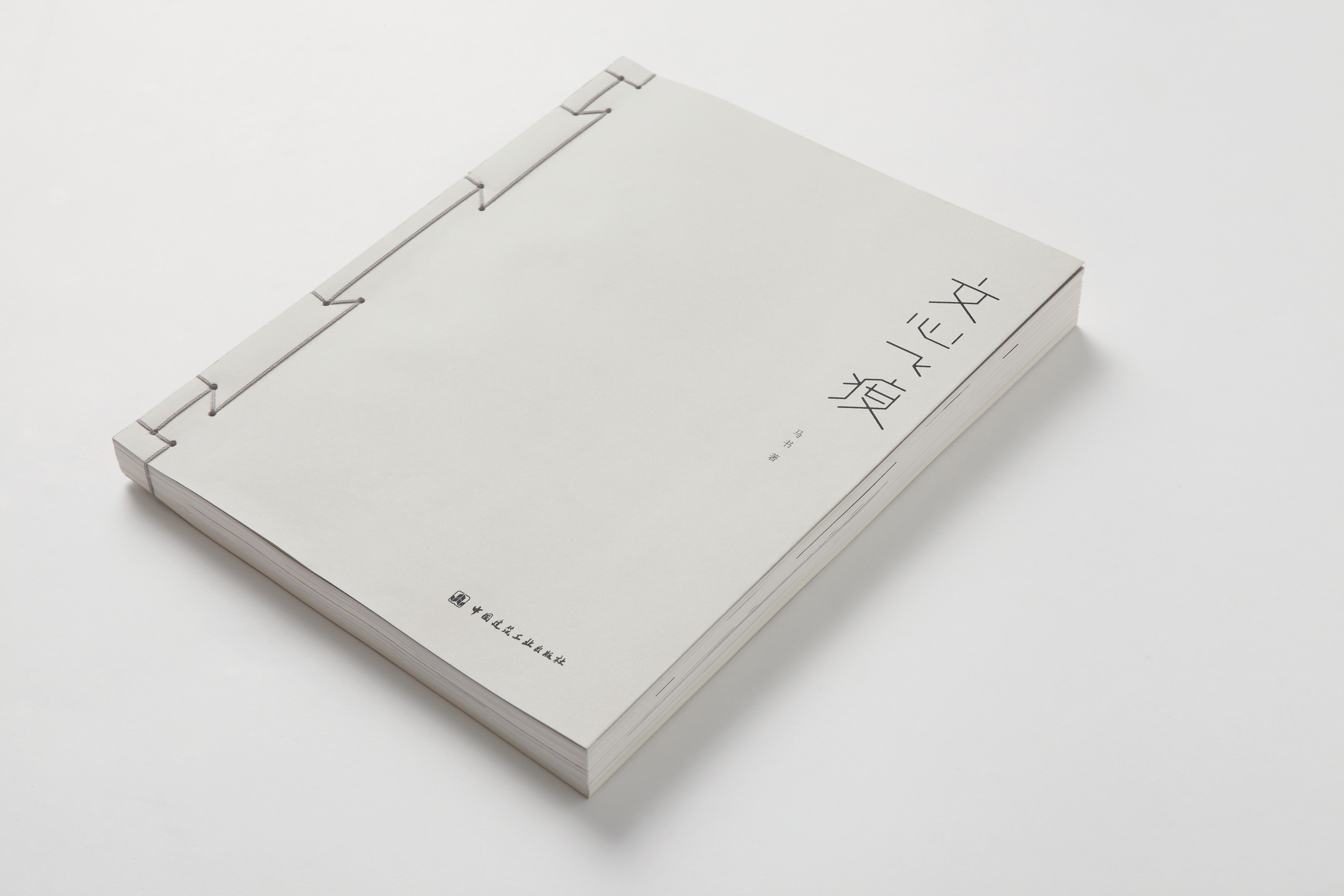 洪卫:做好设计是本分