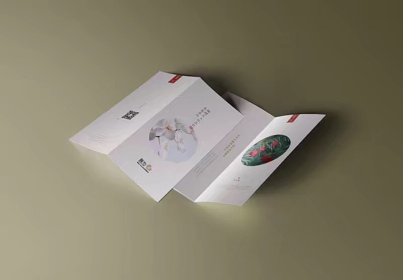 馨怡蝴蝶兰-2折页设计