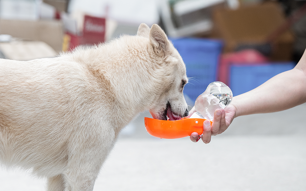 我们还在继续...
