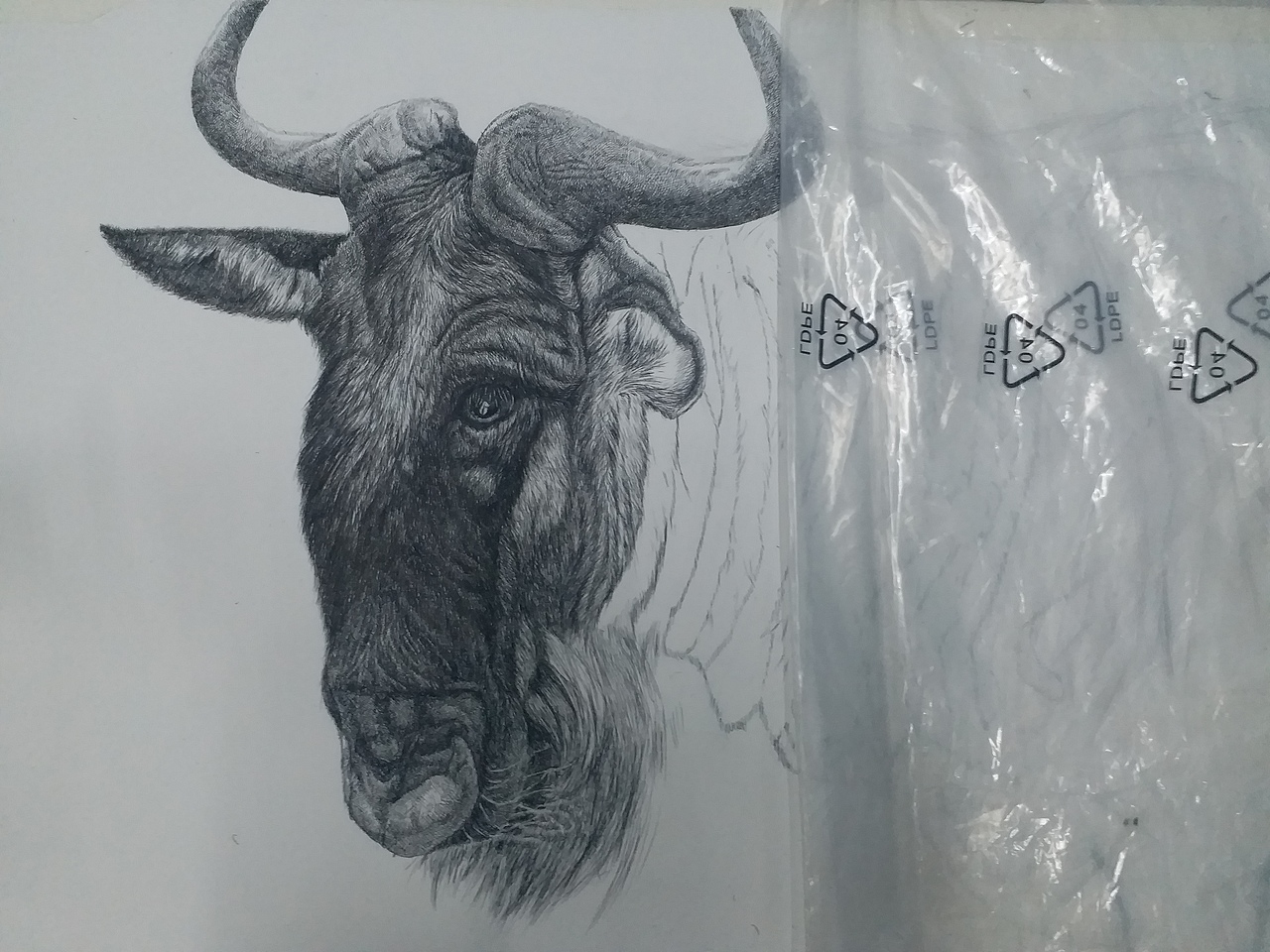 大kai动物钢笔画角马