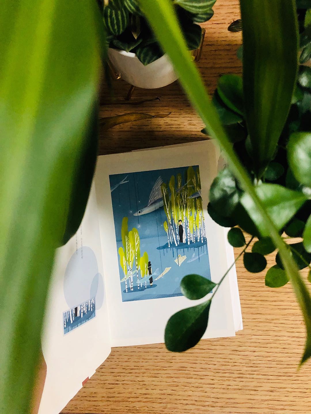 醒来觉得，甚是爱你