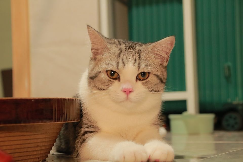 准备吃宵夜的表情