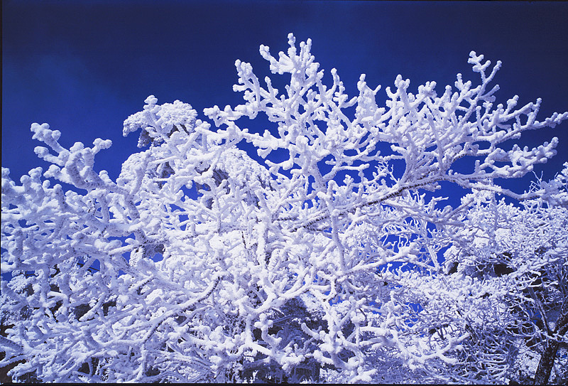 黄山徽州各时期胶片摄影