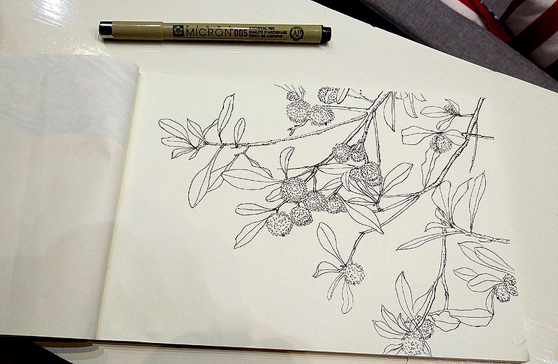 又是一年楊梅季（圖ZMTU4ODExMTM2） - 藝術(shù)插畫(huà) - 站酷設(shè)計(jì)師杜子空原創(chuàng)素材 - 站酷ZCOOL