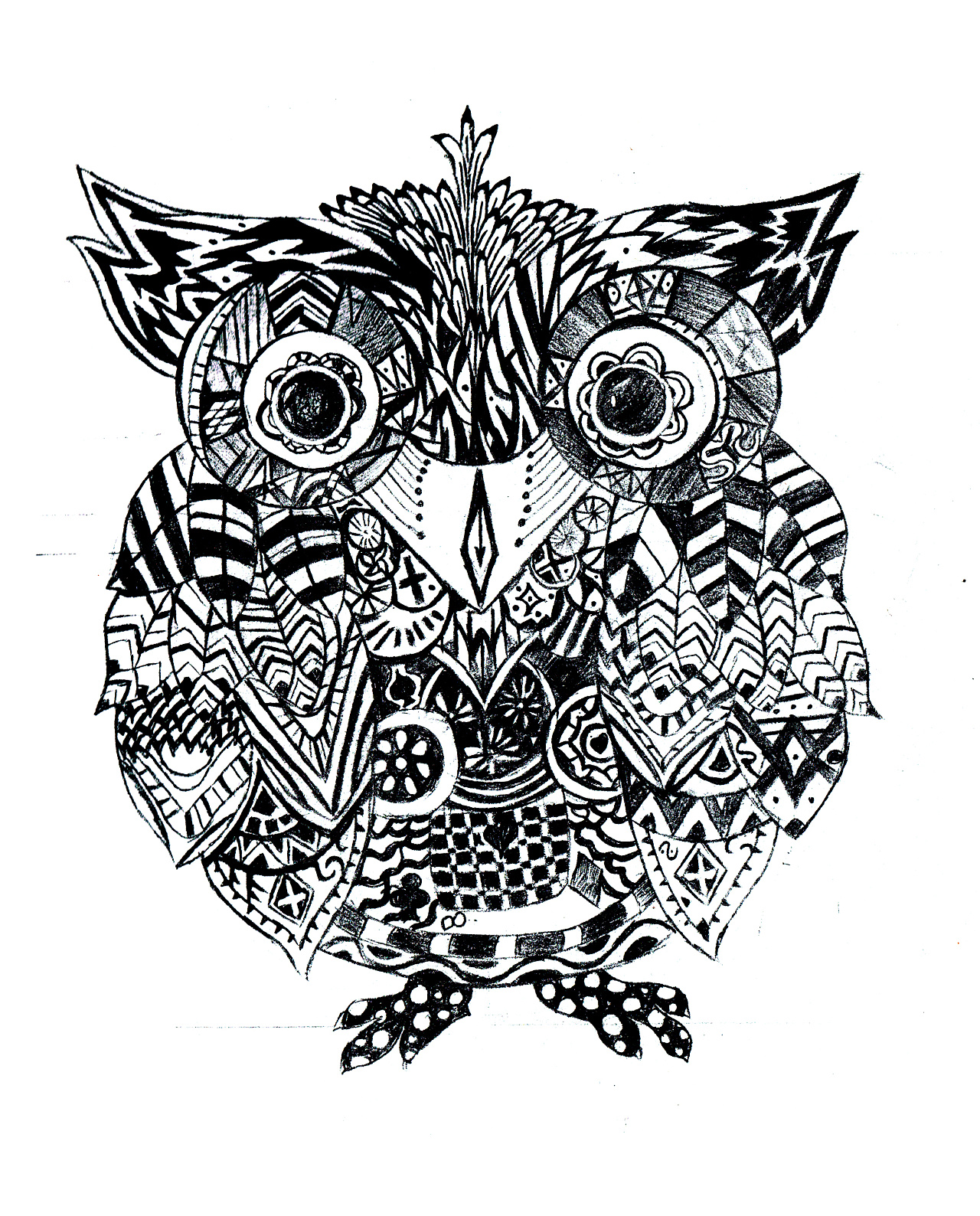 手绘 插画 猫头鹰