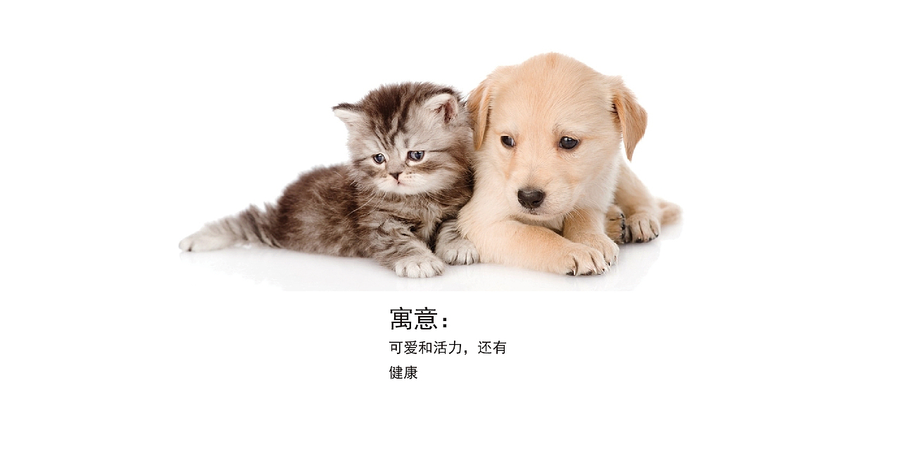 vi设计（图ZMTY5NTY0NTE2） - 品牌 - 站酷设计师Z99210148原创素材 - 站酷ZCOOL