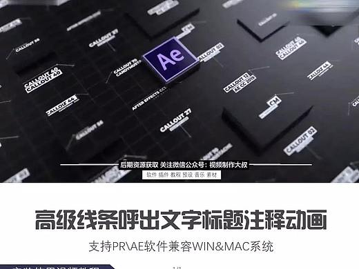 Pr动画预设: 线条呼出文字标题注释动画预设