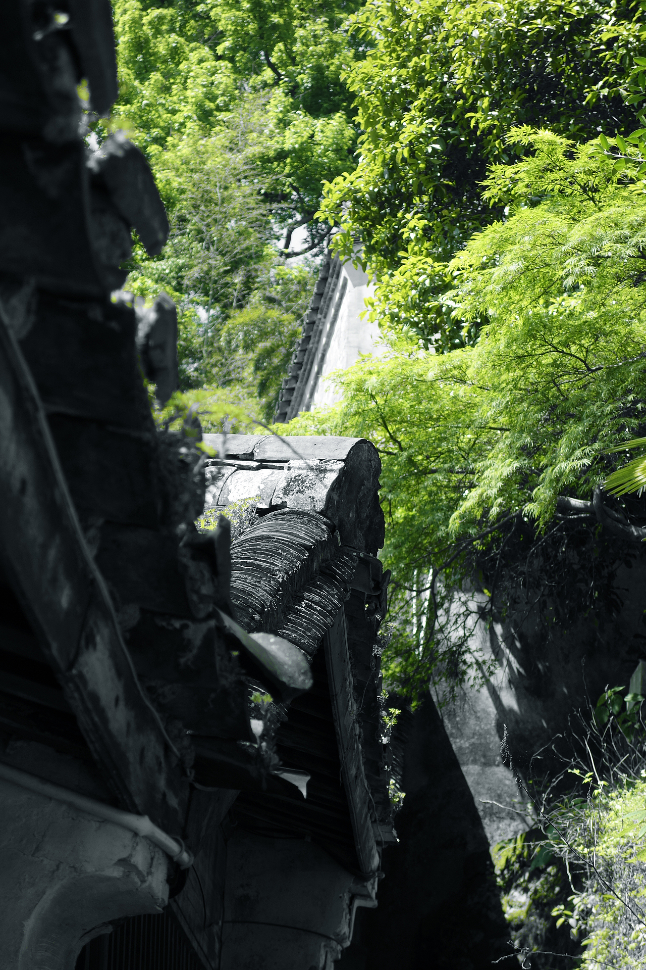 出门记得带相机（图ZODQ3NDgyMDQ=） - 风光摄影 - 站酷设计师zzmhahaha原创素材 - 站酷ZCOOL