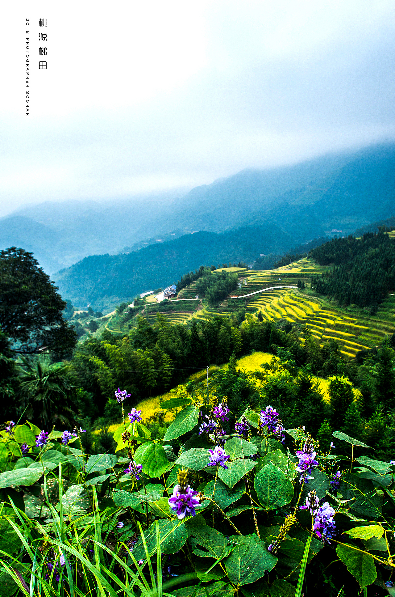 遂川桃源梯田（图ZMTI4ODg4NDk2） - 风光摄影 - 站酷设计师浓眉晓葱原创素材 - 站酷ZCOOL