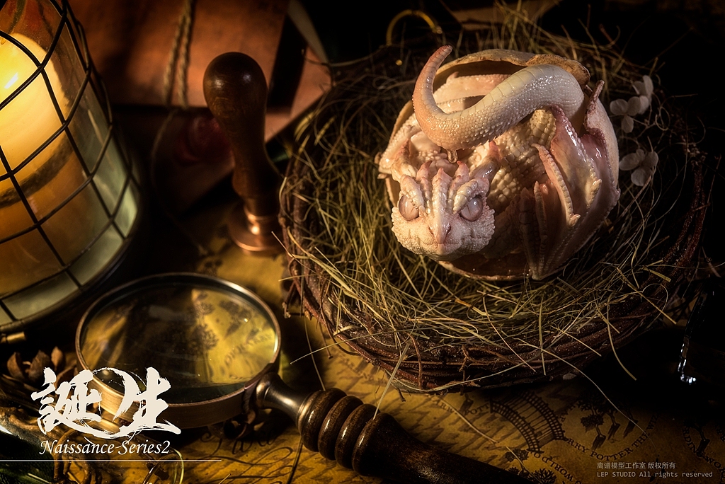 诞生第二章·惑尘（图ZMTMxMzk0NDcy） - 手办/模玩 - 站酷设计师离谱哥哥原创素材 - 站酷ZCOOL