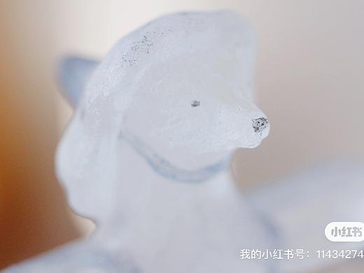 一只练习飞翔的小白熊
