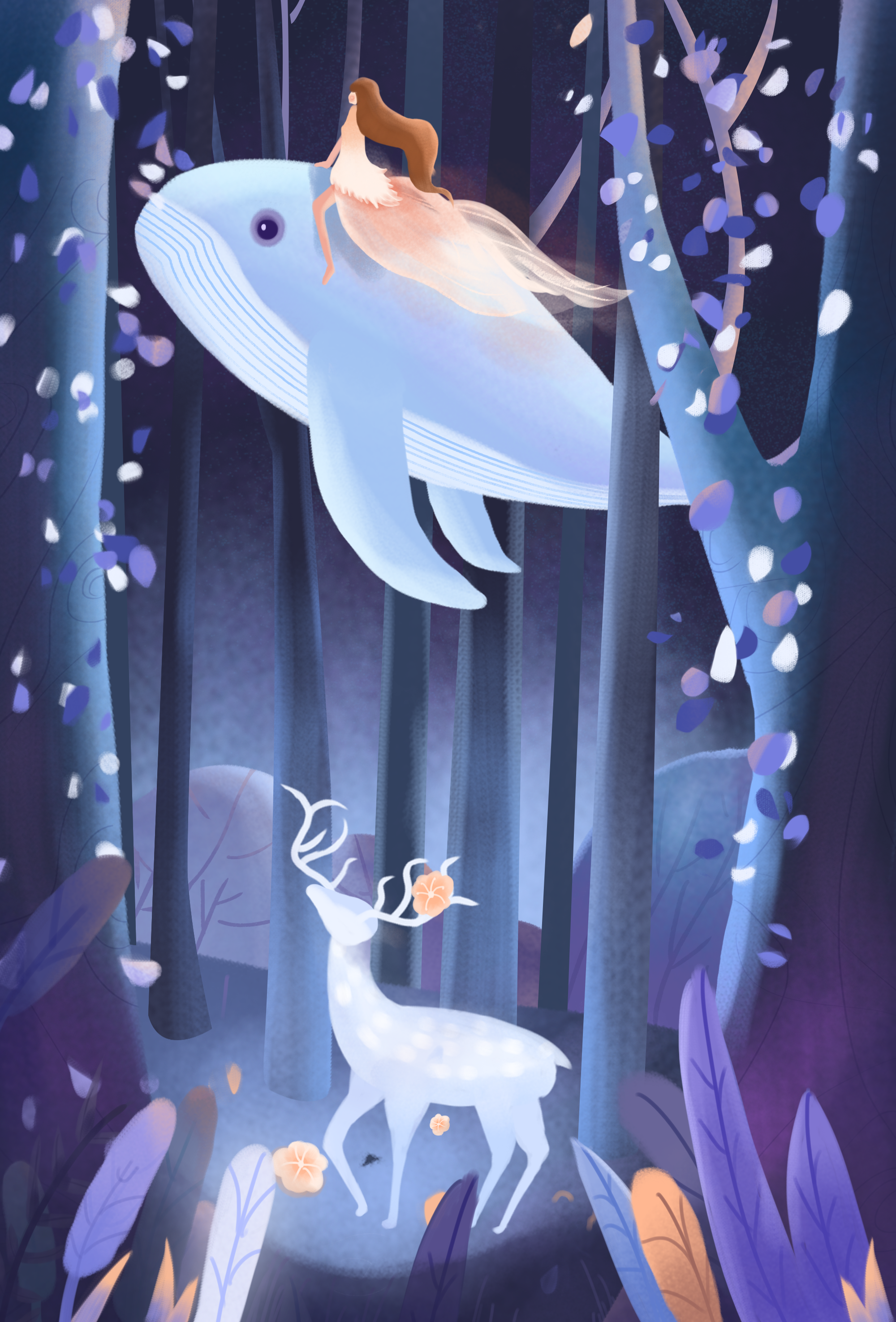 鲸梦|插画|商业插画|aaron_夏 - 原创作品 - 站酷 (zcool)