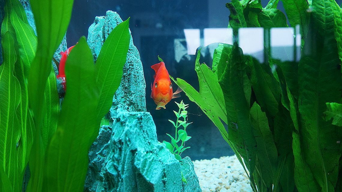 微笑的小嘴,让人心里暖暖