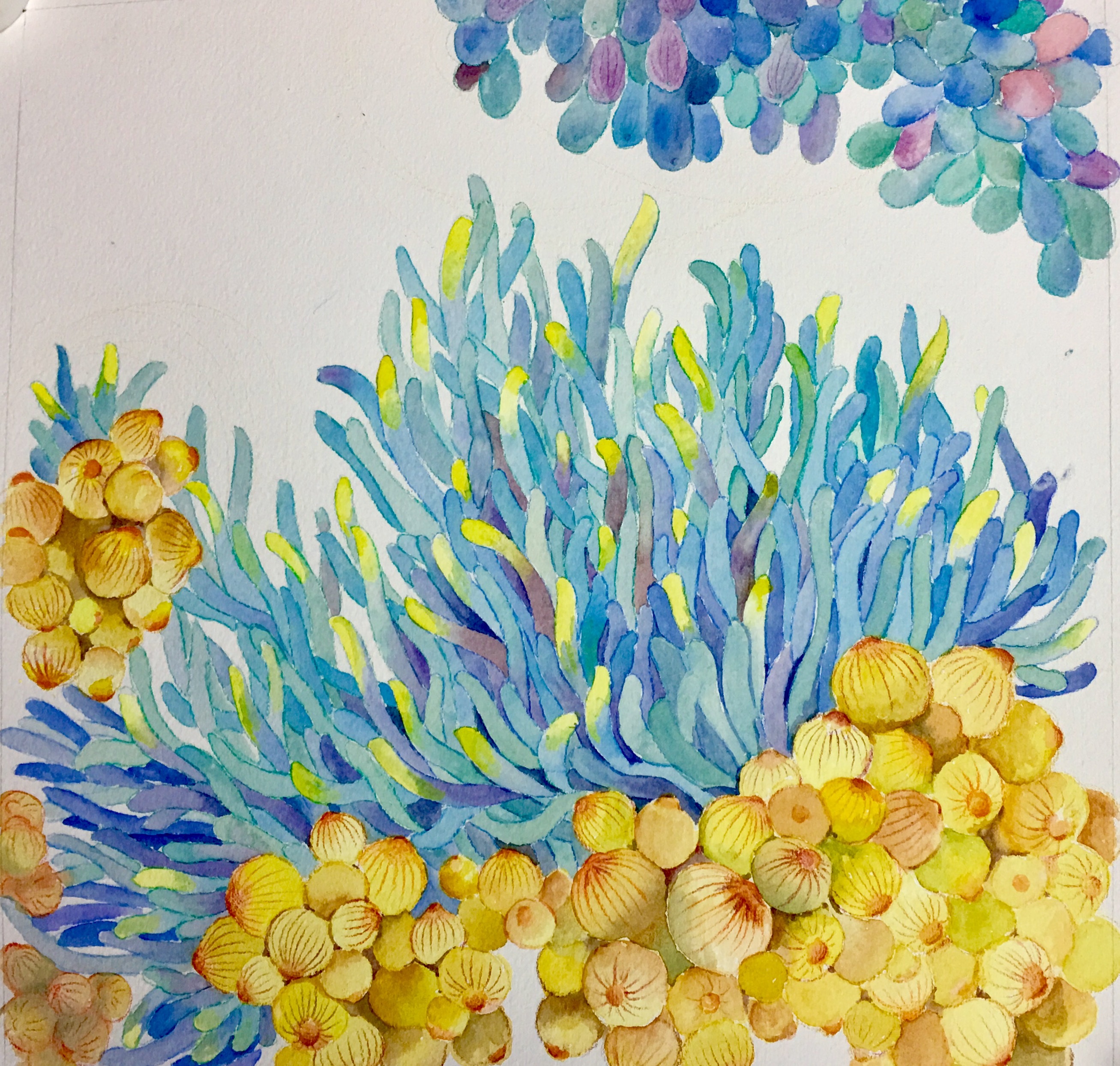 海底花|插画|插画习作|亚西cimmi - 原创作品 - 站酷 (zcool)