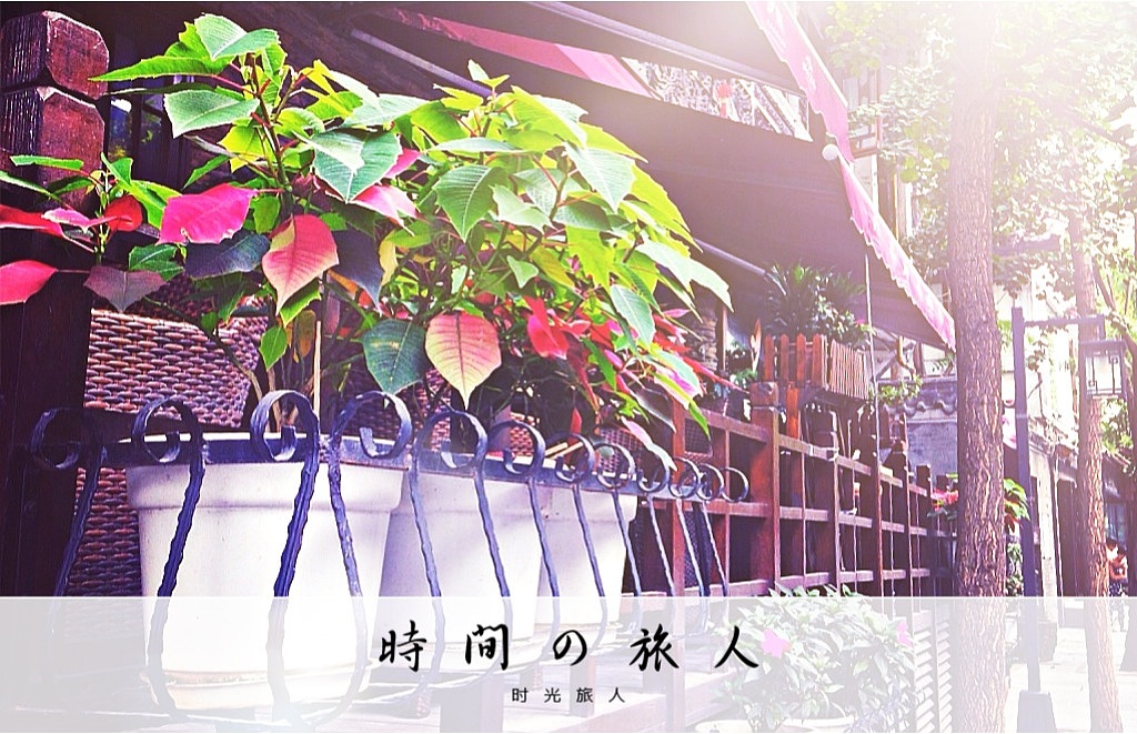 部分手机拍的照片（图ZMTk5MTE2MDg=） - 其他摄影 - 站酷设计师x_xiaomao原创素材 - 站酷ZCOOL