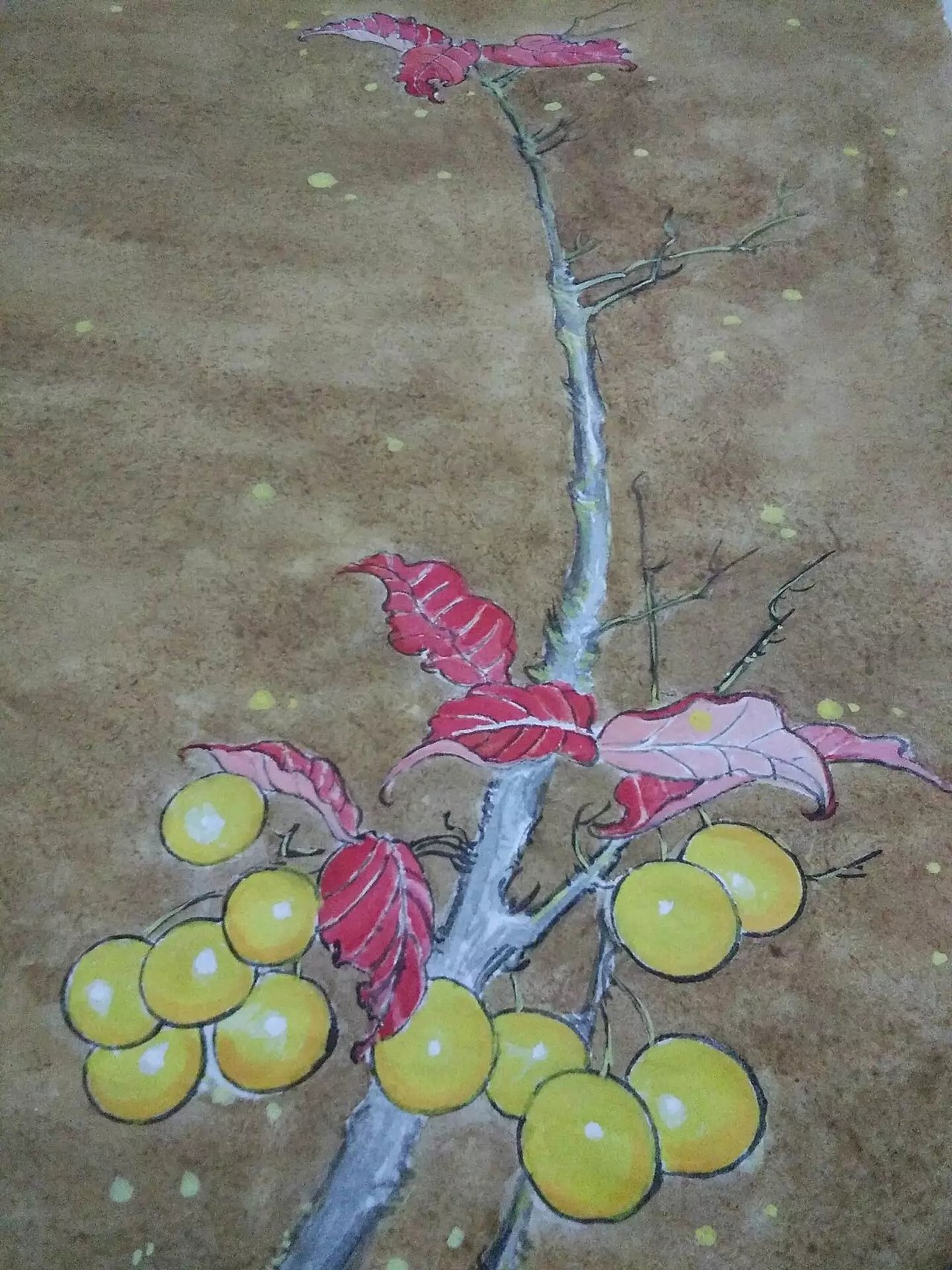 《红叶绶带》（图ZNzc1NTk2NTI=） - 绘画 - 站酷设计师南岩逸士原创素材 - 站酷ZCOOL