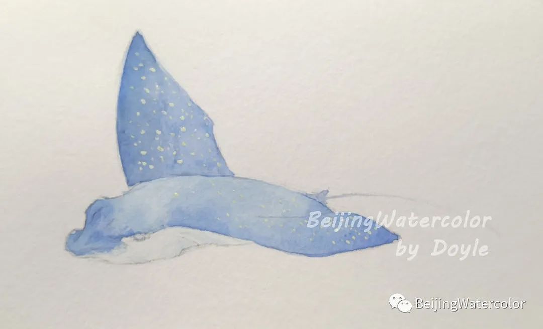 【鱼类识别】 Eagle Rays（图ZMjEyMzMxMjAw） - 绘画 - 站酷设计师张文艺水彩原创素材 - 站酷ZCOOL