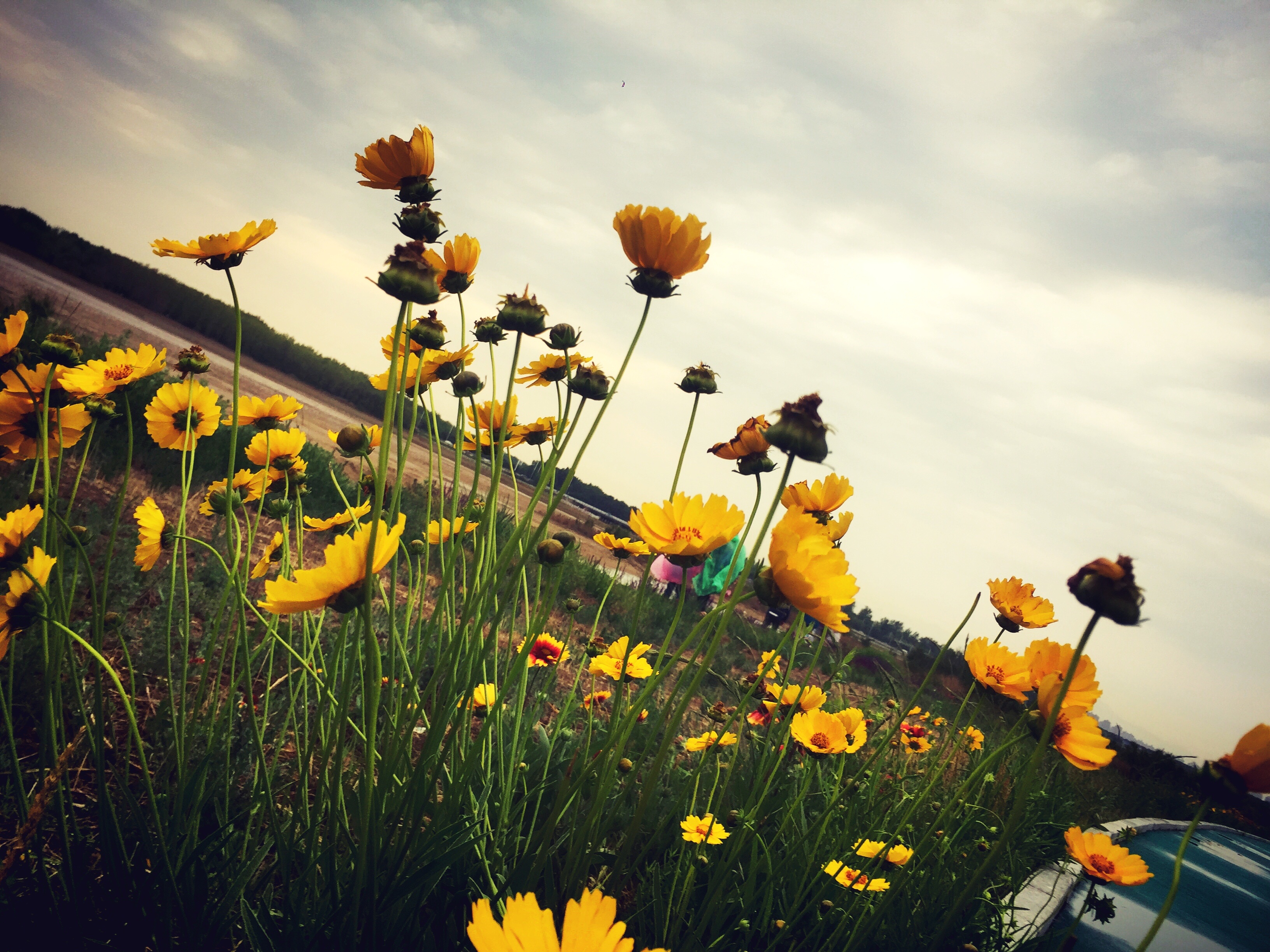 后海北海近景远景