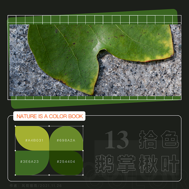 色彩（鹅掌楸）（图ZMjgyNzQ5ODc2） - 其他 - 站酷设计师风荷宿雨原创素材 - 站酷ZCOOL