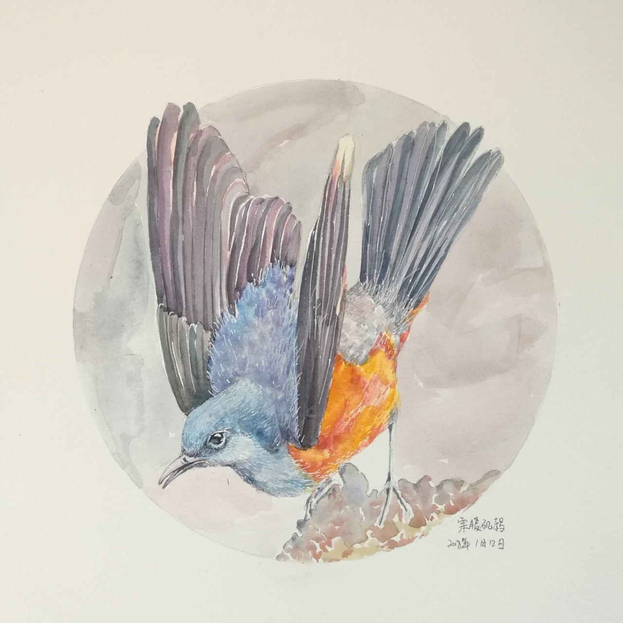 水彩画鸟