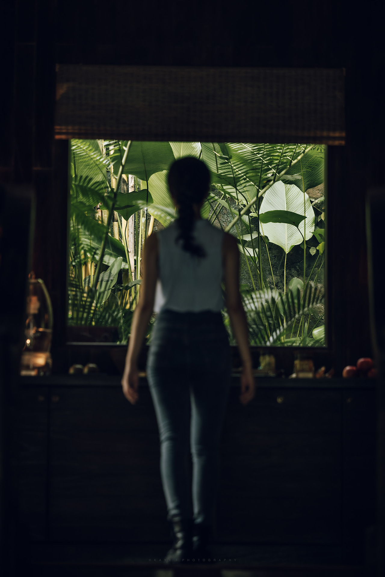 闯入热带雨林之后的旅程~