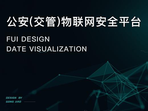 武汉交管公安物联网安全平台大数据可视化大屏设计