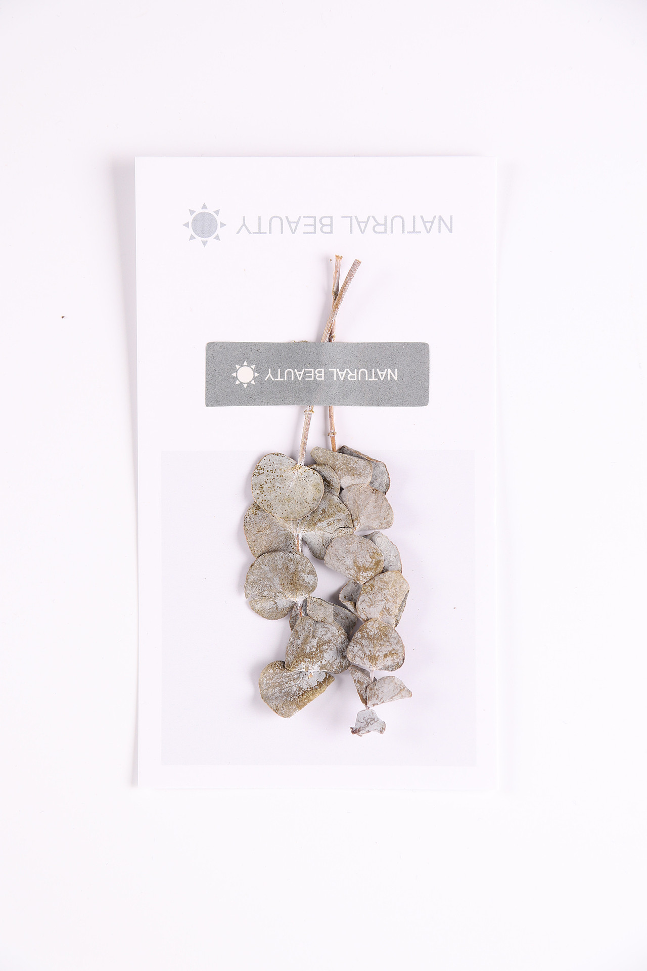 B08节庆礼品\C04-装扮用品\V05卡片