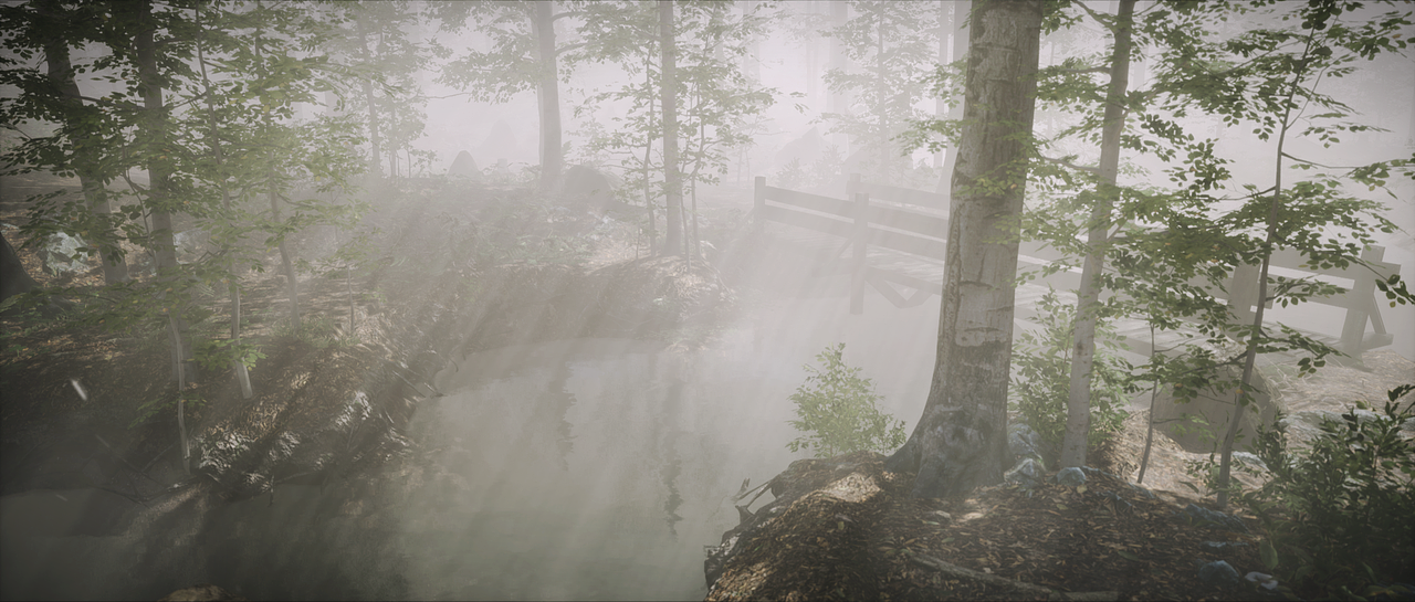 Misty Forest-Animation(图ZMjMwMTIwNTU2) - 动画/影视 - 站酷设计师ZixiIceyy原创素材 - 站酷ZCOOL