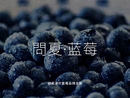 問(wèn)夏·藍(lán)莓  Ⅰ  藍(lán)莓品牌設(shè)計(jì)