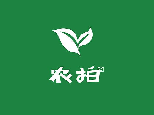 农拍/拍易传