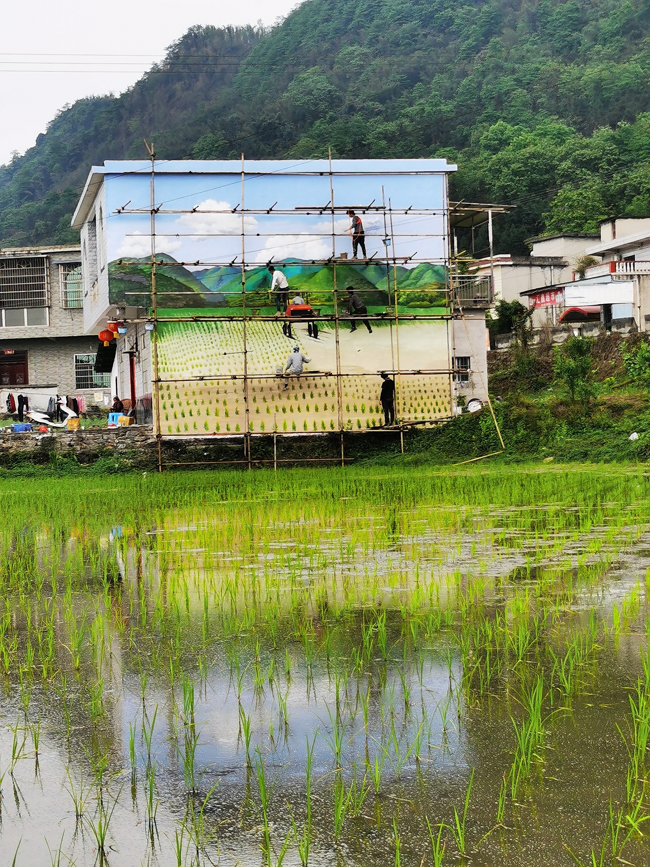 新农村墙绘,新农村壁画,乡村壁画,乡村文化墙
