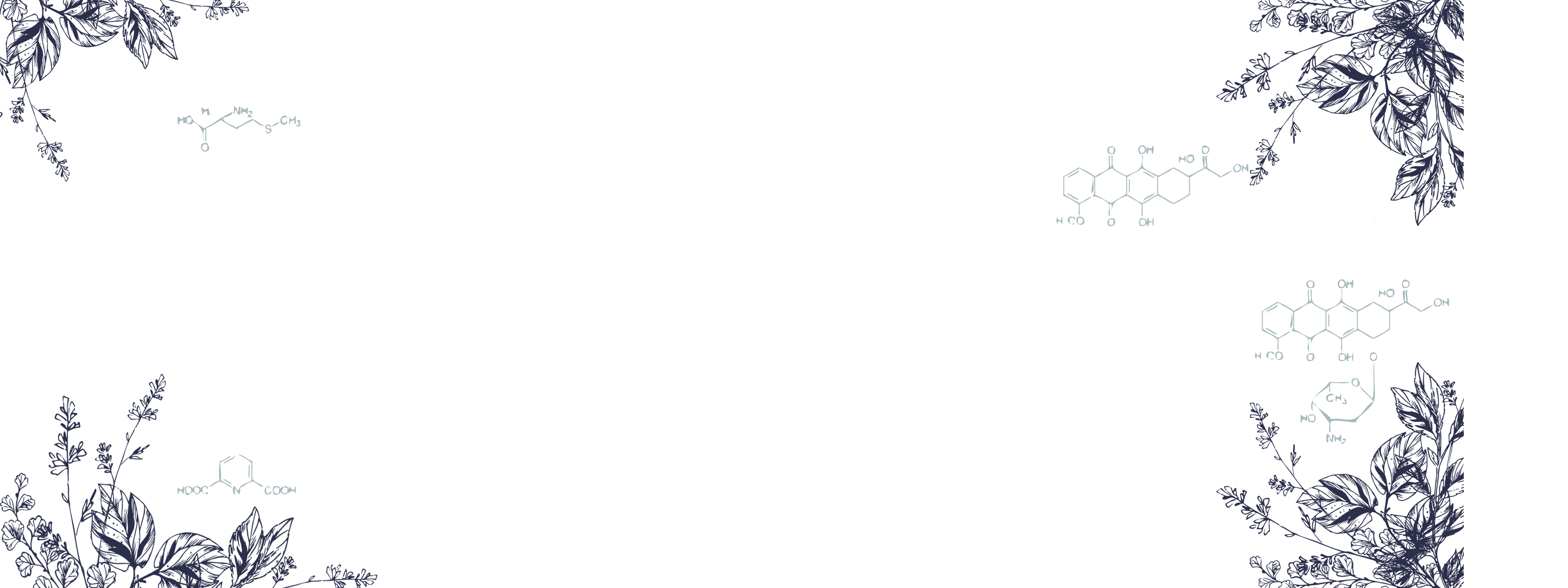 SHlZlW的個(gè)人主頁(yè)（封面預(yù)覽） - 主頁(yè)封面設(shè)置 - 站酷設(shè)計(jì)師SHlZlW原創(chuàng)素材 - 站酷ZCOOL