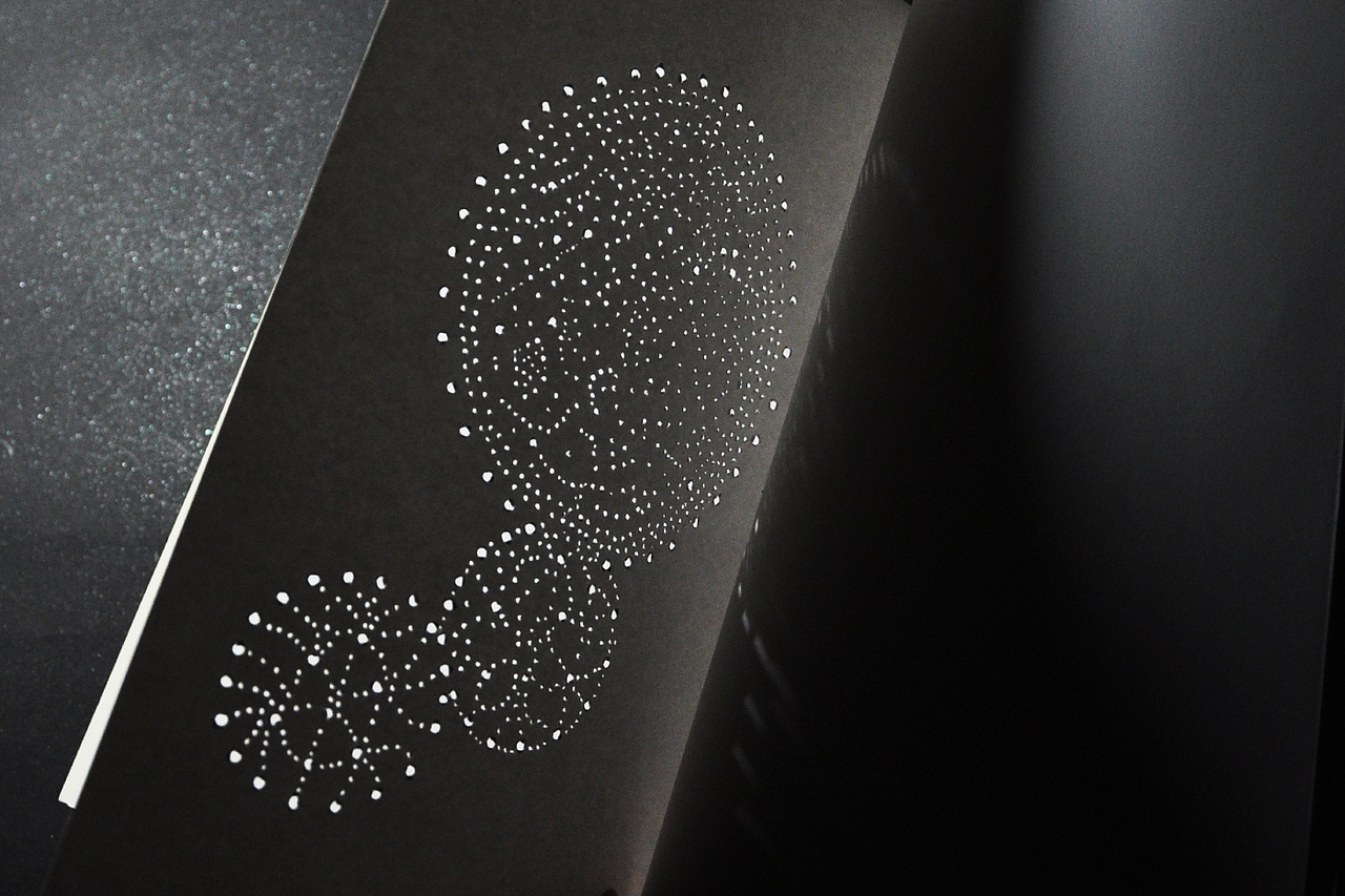 自然的痕迹 —— 迟来的毕业设计