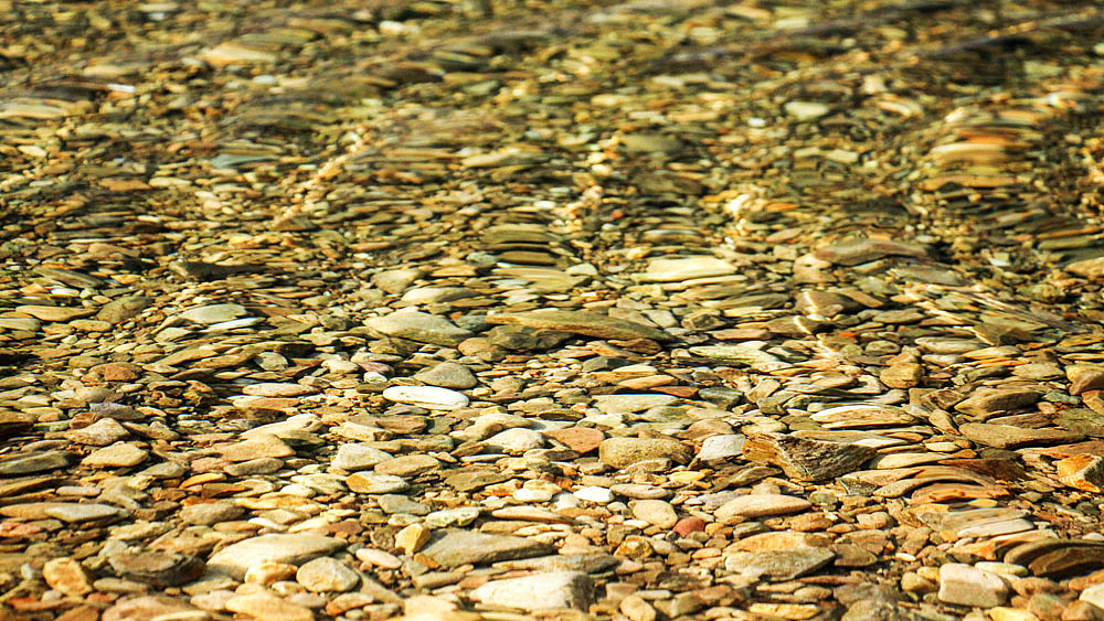 水面像是把阳光留在了水底