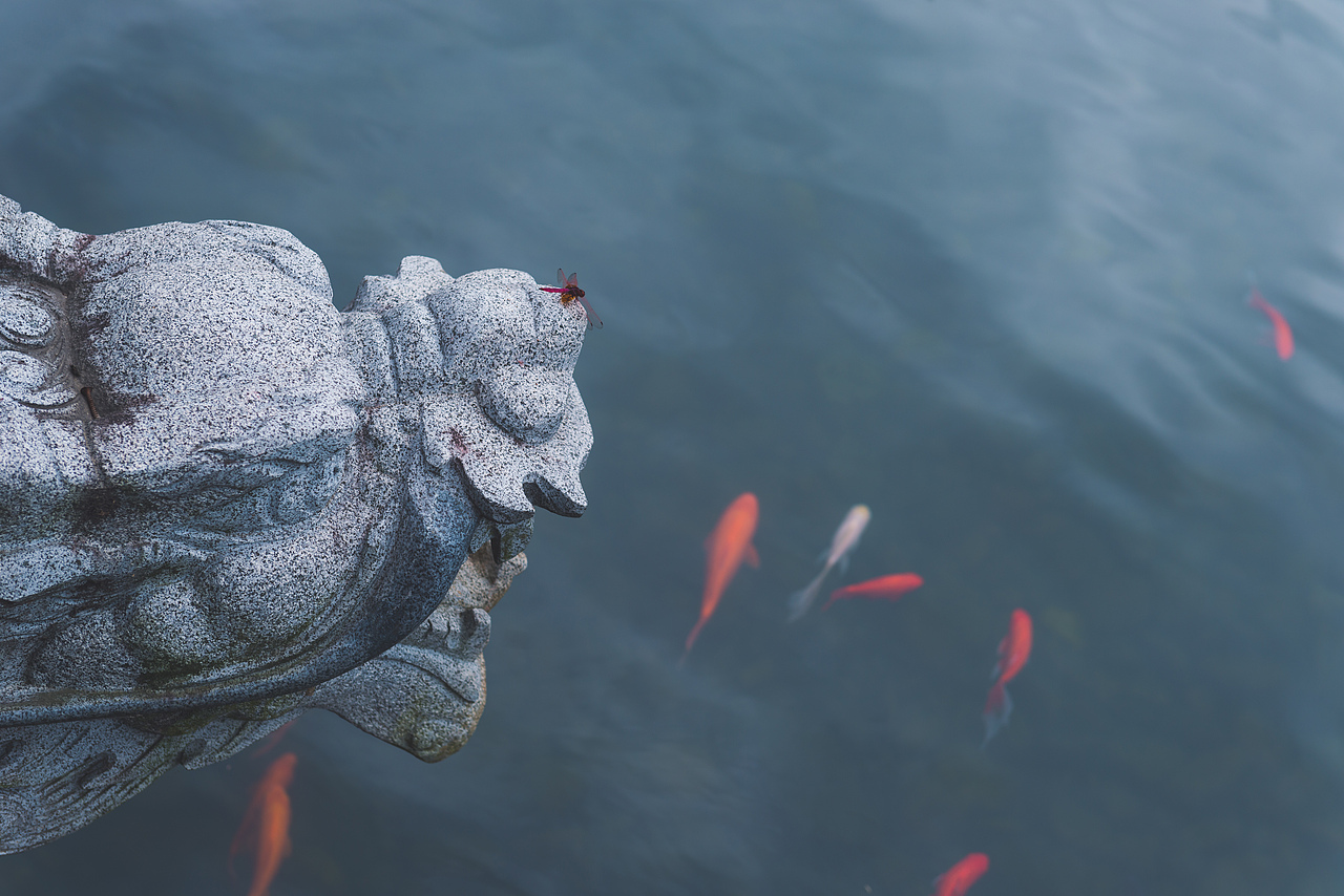 全国摄影大赛参赛作品