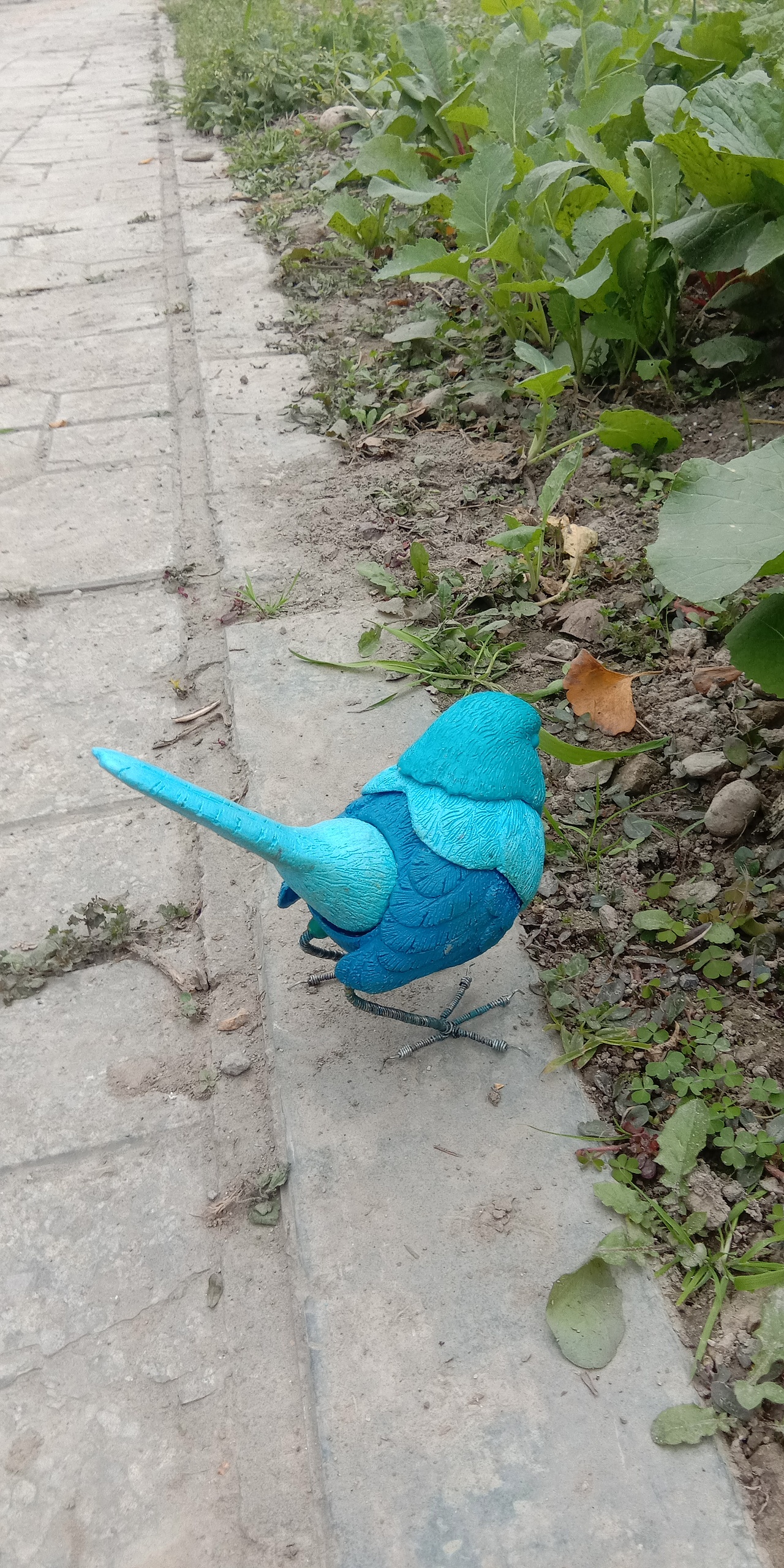 红鸟蓝鸟（图ZMTM3OTc0NzI4） - 工艺品设计 - 站酷设计师那火原创素材 - 站酷ZCOOL