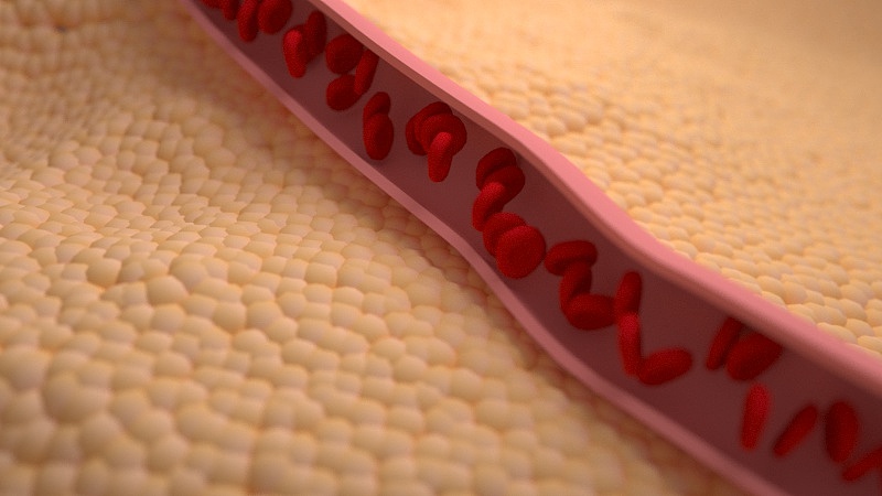 血液流动（图ZMjAxODY4MDA0） - 栏目片头 - 站酷设计师感动原创素材 - 站酷ZCOOL