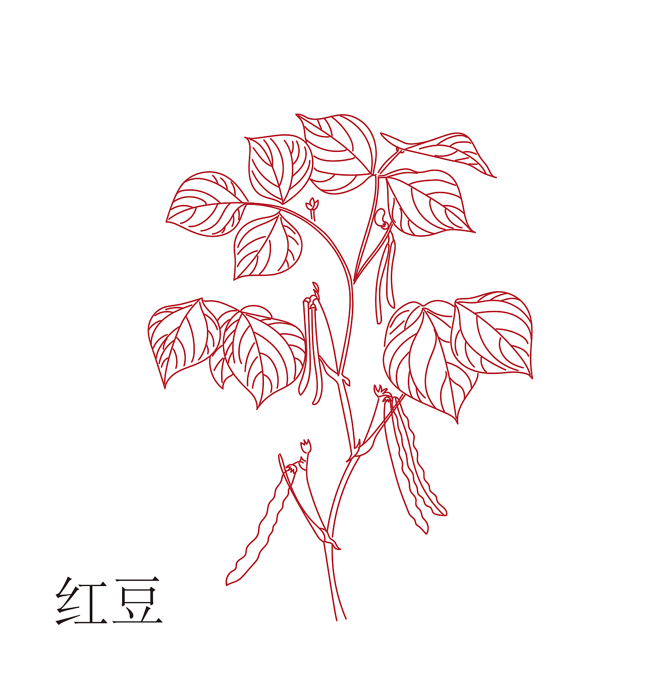 红豆薏米粉包装 红豆薏米 红豆 薏米 粥 营养品（图ZODcxOTI3MzI=） - 包装 - 站酷设计师缘包装原创素材 - 站酷ZCOOL