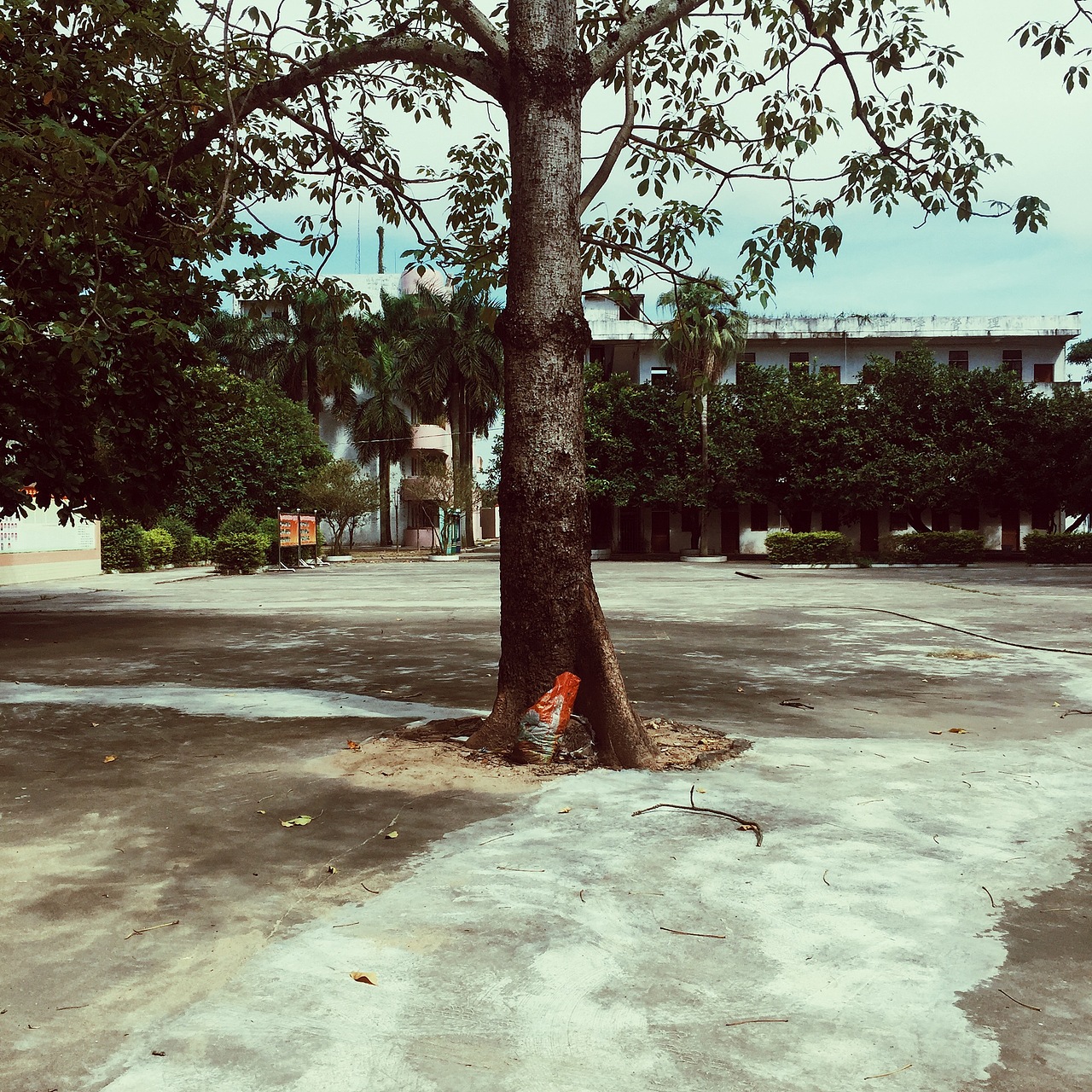 手机日常作品（图ZOTU0NDQyNjA=） - 人文/纪实摄影 - 站酷设计师李佩华原创素材 - 站酷ZCOOL