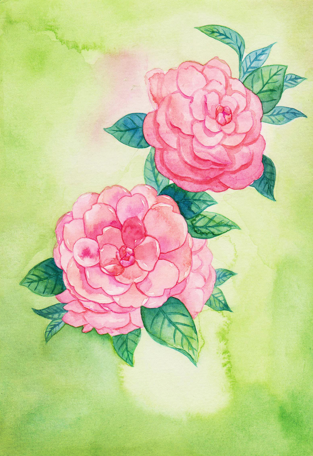 三木花草(小过程5)|纯艺术|绘画|吴都jasmine - 原创作品 - 站酷